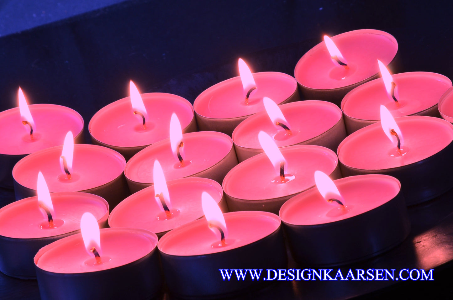 16 stuks Wilde Orchideen - geurkaarsen - WAXINE Lichten