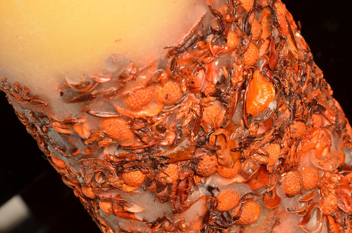 Potpourri kaars, super XXXL, H: 26 cm rond