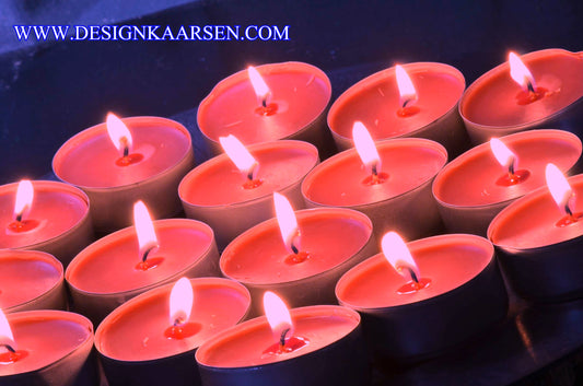 16 stuks Wilde Orchideen - geurkaarsen - WAXINE Lichten